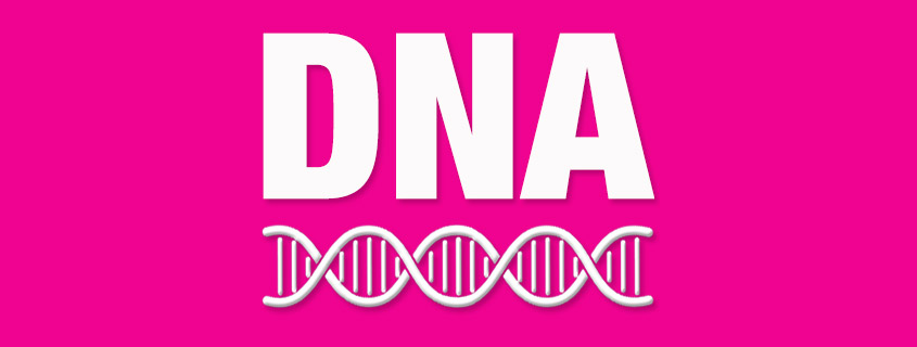 Was gehört zur DNA einer Agentur? Gute Webetexte!